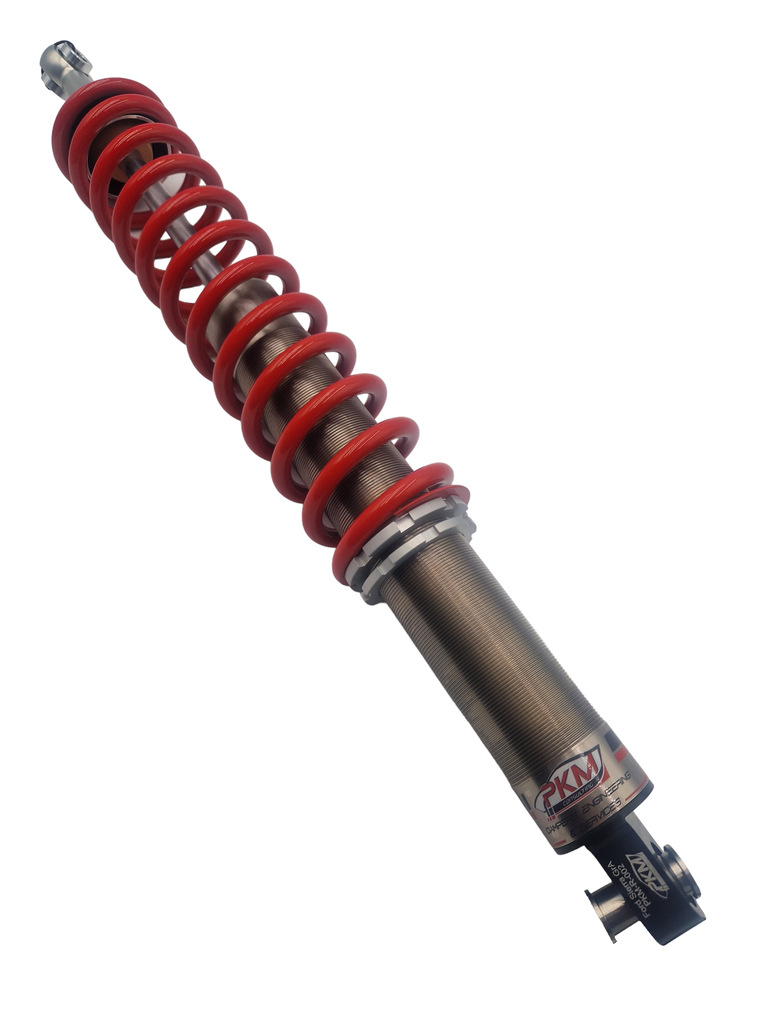 Ford Sierra RS Cosworth GrA AR