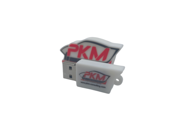 Clé USB PKM Consulting
